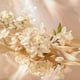 thumbnail image 2 of Perfume Elie Saab Le Parfum Eau de Parfum para mujer, 30 ml, 2 of 2
