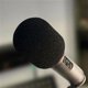 thumbnail image 4 of Micrófono Pop Filter/Wind Shield Rode WS2 para NT1-A, NT2-A, NT1000, NT2000, NTK, K2 y Broadcaster, 4 of 4