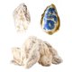 thumbnail image 1 of Conchas de ostra para manualidades Letravagance extra grandes (12-15 cm), 1 of 7