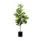 thumbnail image 1 of Planta Artificial Peperomia 90 Cm, 1 of 1