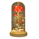 thumbnail image 1 of Rosa eterna luces led cúpula vidrio, 1 of 3