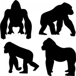 Rienda Libre Graphics - Decomural Monkey Gorilla Set Ws-32741