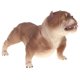 thumbnail image 1 of Figura De Modelo Animal Lindo Figura De Juguete Decoración Del Hogar American Bully Pitbull #B, 1 of 5