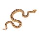 thumbnail image 1 of Coleccionista De Juguetes De Figuras De Serpientes De Plástico Para Ni?os, Relleno De Bolsas, Regalo, Serpiente De Cascabel, 1 of 5