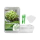 thumbnail image 2 of Kit De Inicio De Semillas Con Marcadores De Plantas Ecológico Para Jardinería Invernadero Grande, 2 of 5