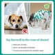 thumbnail image 5 of Traje De Recuperación Postoperatoria Para Perro Dinosaur Talla L, 5 of 6