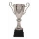 thumbnail image 1 of Copa Trofeo Metálica Cuerpo Base Plástica, 1 of 1