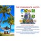thumbnail image 5 of Perfume Perry Ellis 360° para hombre, 360°, rojo, 360°, muy azul, 360°, negro, 5 of 7