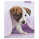 thumbnail image 5 of Cuaderno Universitario Animales Adorables 7mm 100 Hojas / Producto surtido, 1 Un, 5 of 12