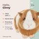 thumbnail image 2 of Peluche de conejillo de indias Bearington Ginny, 20 cm, 2 of 6