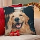 thumbnail image 4 of Golden Retriever Fundas de almohada de terciopelo con tema, regalos de funda de almohada, decoración para el hogar, cojín de lanzar, regalo de cumpleaños para fans y parejas.50*50cm., 4 of 6