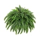 thumbnail image 4 of Planta Artificial De Helecho Artificial Para Oficina, Jardín, Boda, 1 Unidad, 4 of 5