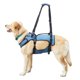 thumbnail image 1 of Arnés de levantamiento de perros Coodeo, cabestrillo de apoyo y recuperación para perros, 1 of 8
