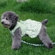 thumbnail image 4 of Vestidos para perros pequeños, vestido para perro con anilla para correa, falda plisada multicapa de princesa con lazo de pentagrama, vestido para mascota para perro pequeño, cachorro, gato, 4 of 6