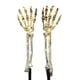 thumbnail image 3 of 2 Piezas De Luces LED De Estacas De Brazo De Esqueleto De Halloween Para Decoración De Festivales, 3 of 5
