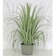thumbnail image 2 of Planta Decorativa Pasto Grueso Verde Gris 91 cm, 2 of 2