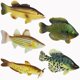 thumbnail image 1 of Set Toy Fish Set Toy Fish Factory American Angler Collection, 1 of 7