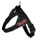 thumbnail image 1 of Arnés BullHug Ajustable Talla Grande Negro Antitirones, 1 of 9