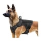 thumbnail image 2 of Arnés Táctico Profesional Ajustables Para Perros Grandes, 2 of 6