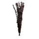 thumbnail image 1 of Rama Decorativa Natural Burdeo, 1 of 3
