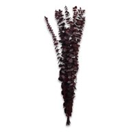 Inspiracci - Rama Decorativa Natural Burdeo