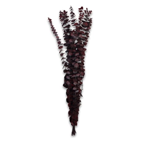 Inspiracci - Rama Decorativa Natural Burdeo