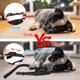thumbnail image 3 of Bozal para perros ewinever ajustable transpirable negro - paquete de 5, 3 of 7
