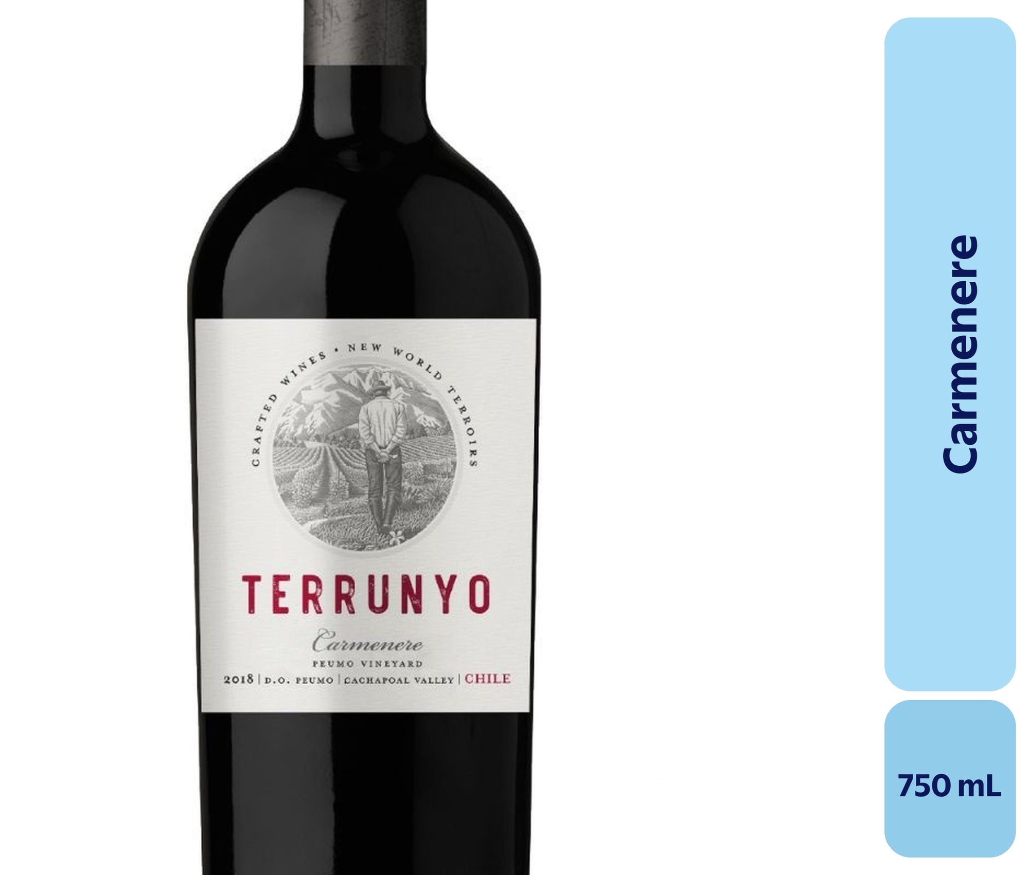 Vino Carménère Botella 750 mL Terrunyo