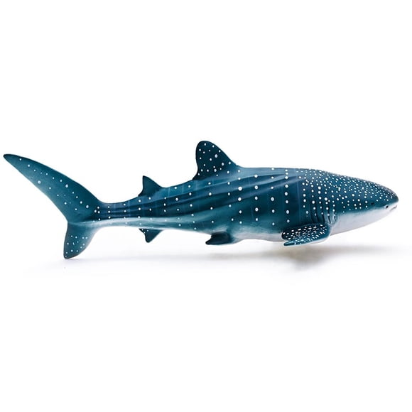 Ballena Rhincodon Typus Recur