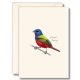 thumbnail image 1 of Juego de Tarjetas de Notas Earth Sky + Water 8 unidades 9 × 13 cm, 1 of 3