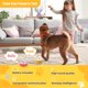 thumbnail image 2 of Botones de adiestramiento para perros Blanou con grabación de voz, 2 of 6