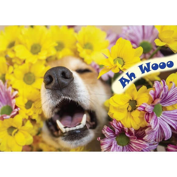 Tarjeta de cumpleaños con Corgi de Glory To Dog 13 cm × 18 cm