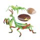 thumbnail image 5 of Naturaleza Plástico Ciclo De Vida De Mantis Crecimiento De Insectos Juguetes De Aprendizaje Juego De Roles, 5 of 5