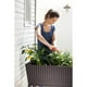 thumbnail image 5 of Jardinero Macetero Huerto Easy Grow Keter marron, 5 of 6