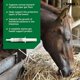 thumbnail image 5 of Suplemento digestivo equino Ramard Total Gut Health 30 ml, 5 of 7