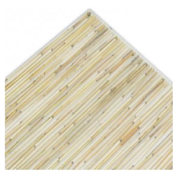 Policarbonato Polibambú 1x3mts 8mm Dvp