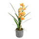 thumbnail image 1 of Orquidea Silvestre Naranjo En Macetero 56cm, 1 of 2