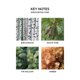 thumbnail image 3 of Vela votiva NEST Fragrances, madera de abedul y pino, 60 ml, 3 of 6