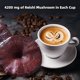 thumbnail image 3 of Mezcla para capuchino, alternativa al café, GANOHERB con reishi, 315 ml, 3 of 7