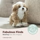thumbnail image 3 of Peluche Bearington Murphy The Maltipoo, 33 cm, de peluche, 3 of 6