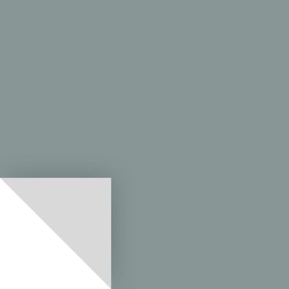 Samplize de pintura Benjamin Moore Brewster Gray HC-162
