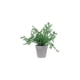 thumbnail image 1 of Planta Artificial Concepts Life para decorar tu hogar, 1 of 2