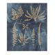 thumbnail image 1 of Canva Flores 50X60 Cm, 1 of 1