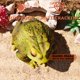 thumbnail image 5 of Escultura de jardín Sunthus, rana, sapo, resina, decoración exterior, 5 of 6