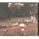 thumbnail image 2 of Álbum de Música VIRTALEVY Until All the Ghosts Are Gone Digipack, 2 of 3