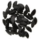 thumbnail image 2 of 25 Pares De Almohadillas Nasales De Silicona De Forma Ovalada De 15 Mm, Negras, 2 of 3