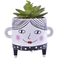 Mallorca - Suculenta Decorativa Sofia Verde Con Maceta