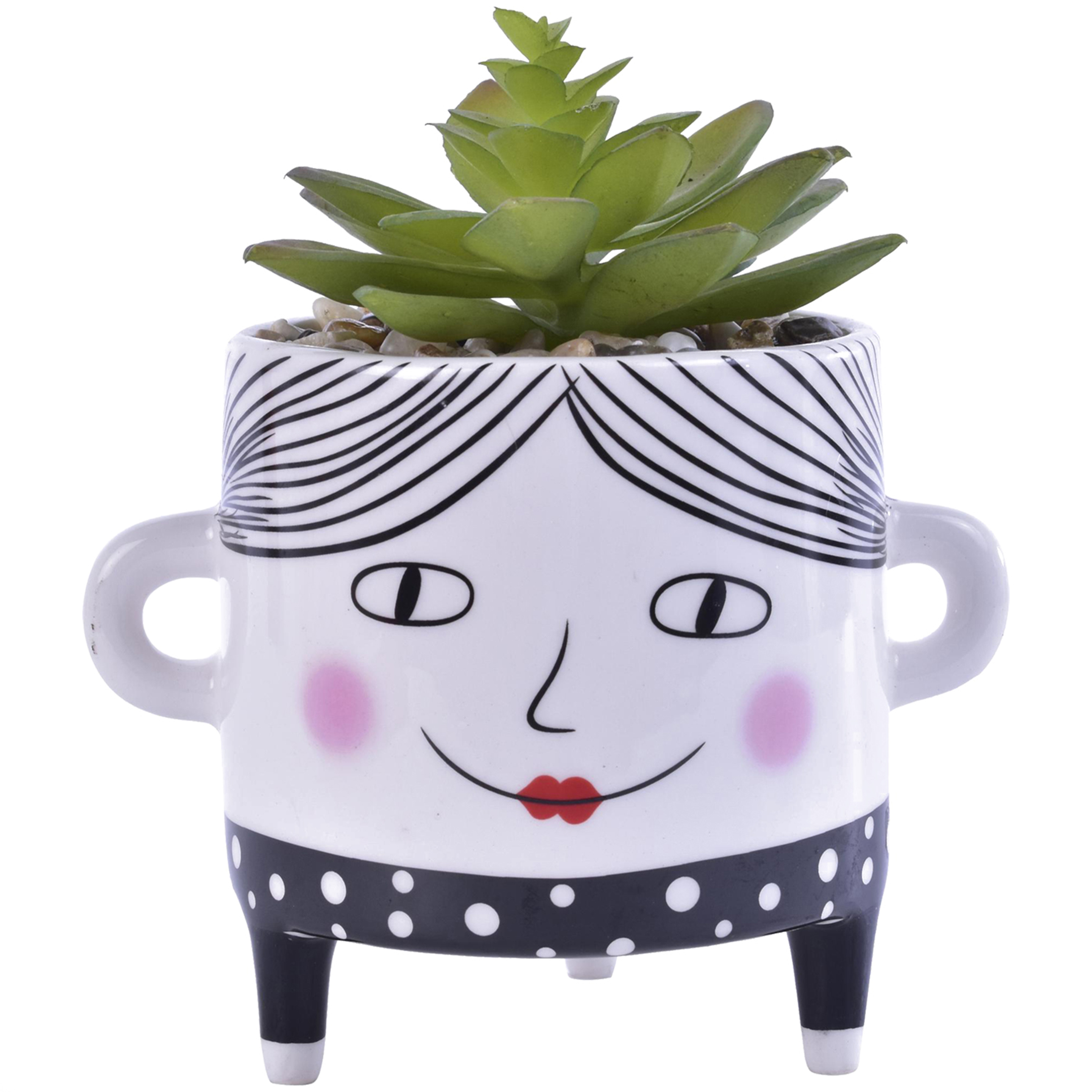 Mallorca - Suculenta Decorativa Sofia Verde Con Maceta