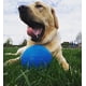 thumbnail image 4 of Pelota de fútbol Jolly Pets Dog Toy, tamaño mediano, azul océano, 15 cm, 4 of 5