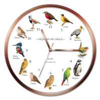 Andes1 - Reloj De Pájaros